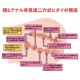 Real body 3D bone Annakawa Yura Real body 3D bone Annakawa Yura