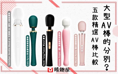 5款常見AV按摩棒比較
