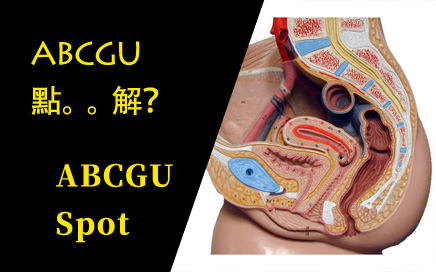 【Sex Class】ABCGU......