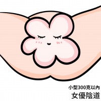 小型女優名器
