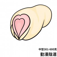 中型動漫名器 中型動漫名器