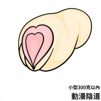 小型動漫名器 小型動漫名器