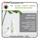 Pjur Woman Aloe Vera Water-based Lubricant 100ml