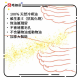 Shunga Erotic Massage Oil Stimulation Peach 240ml Shunga Erotic Massage Oil Stimulation Peach 240ml