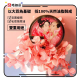 Shunga Mini Massage Candle - 1 oz Rose