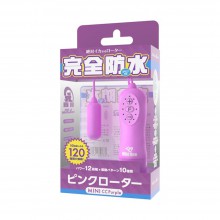 SSI Pink Rotor Type-R Mini CC Purple Vibrator